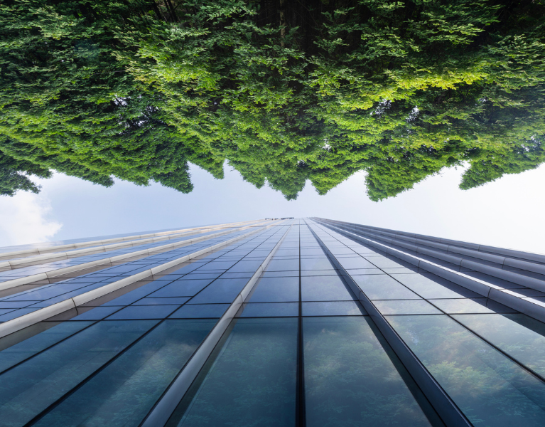 Brand Value vs. Sustainability: When Intangibles Matter Most