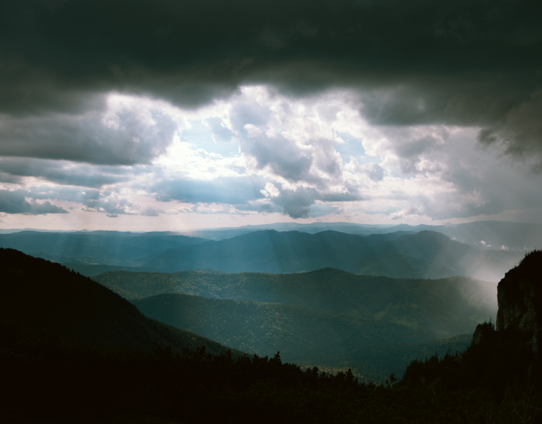 Uncovering Opportunity Amidst Rates Repricing