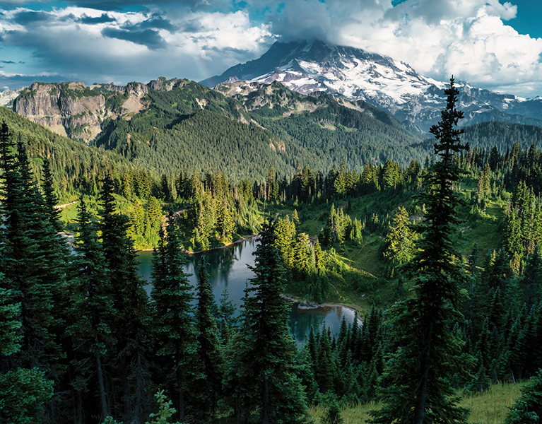 Time To Buy Washington Municipal Bonds