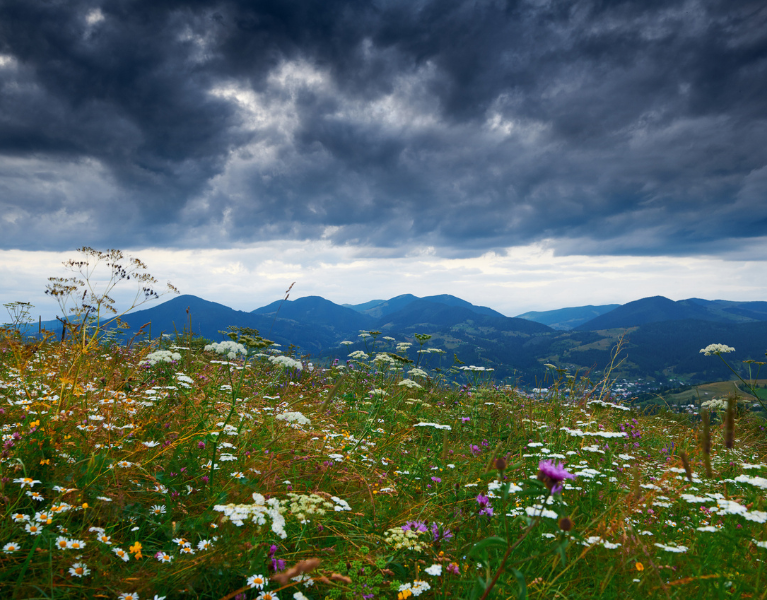 A Cloudy Rates Outlook Heading into Summer
