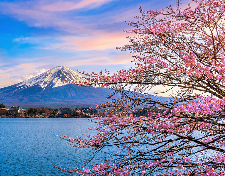 Japan’s Currency Intervention and the Treasury Market